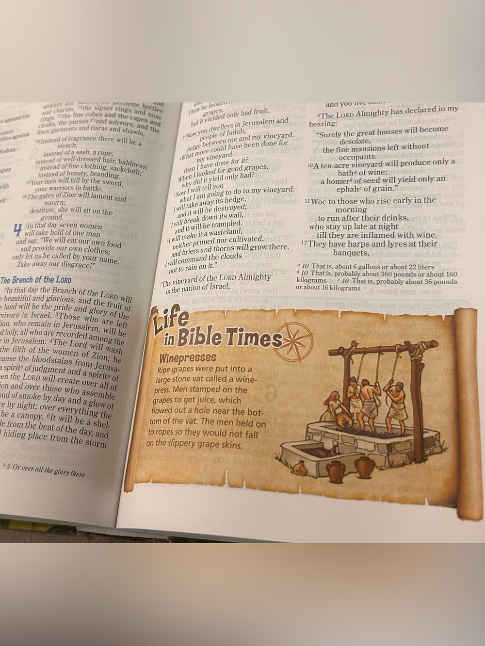 Bible NIV Adventure Bible by ZONDERkidz great shape!! - Picture 5 of 6